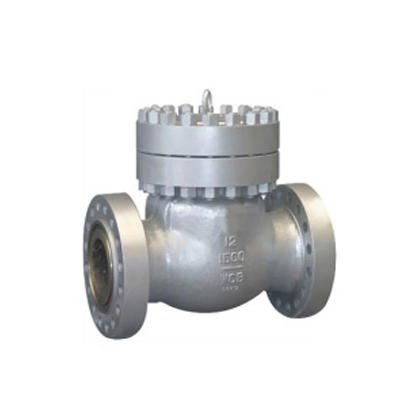 Check valve extension pipe